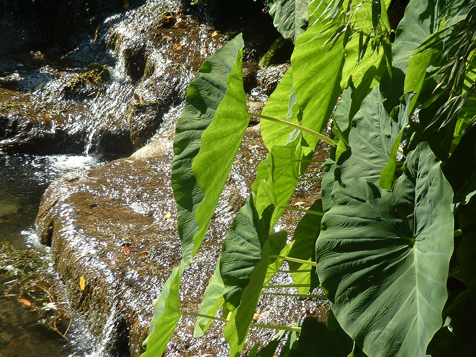 email an GARTENPATINA - Ihr Partner für Freiraumplanung ...